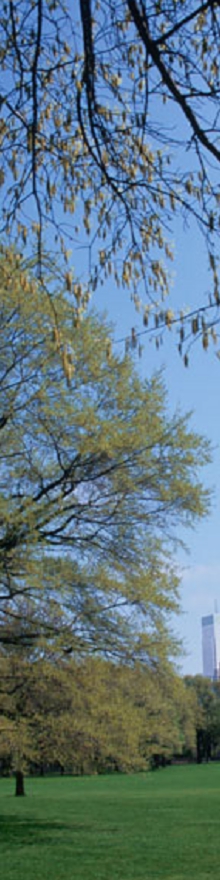01576253391.jpg